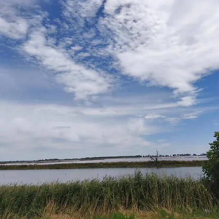 Chez Lena Daire Le Grau-du-Roi
